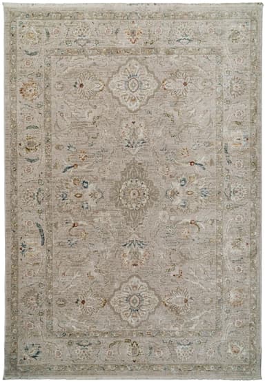 Hudson area rug in Beige