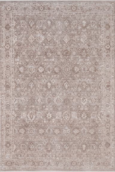 Lara area rug in Brown/Grey