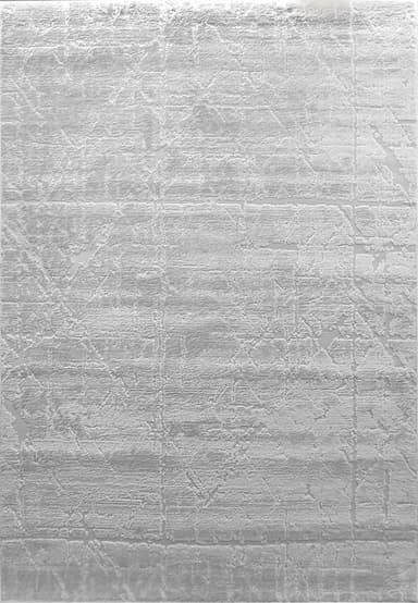 Arten area rug in Grey