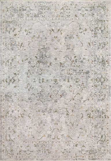 Skyler area rug in Grey/Multi