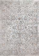 Skyler rug in Grey/Multi