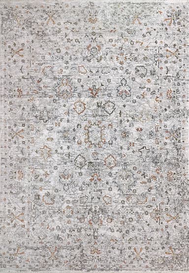 Skyler area rug in Grey/Multi