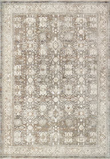 Octo area rug in Cream/Multi
