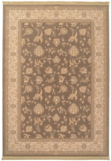 Brilliant area rug in Brown