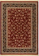 Brilliant rug in Red